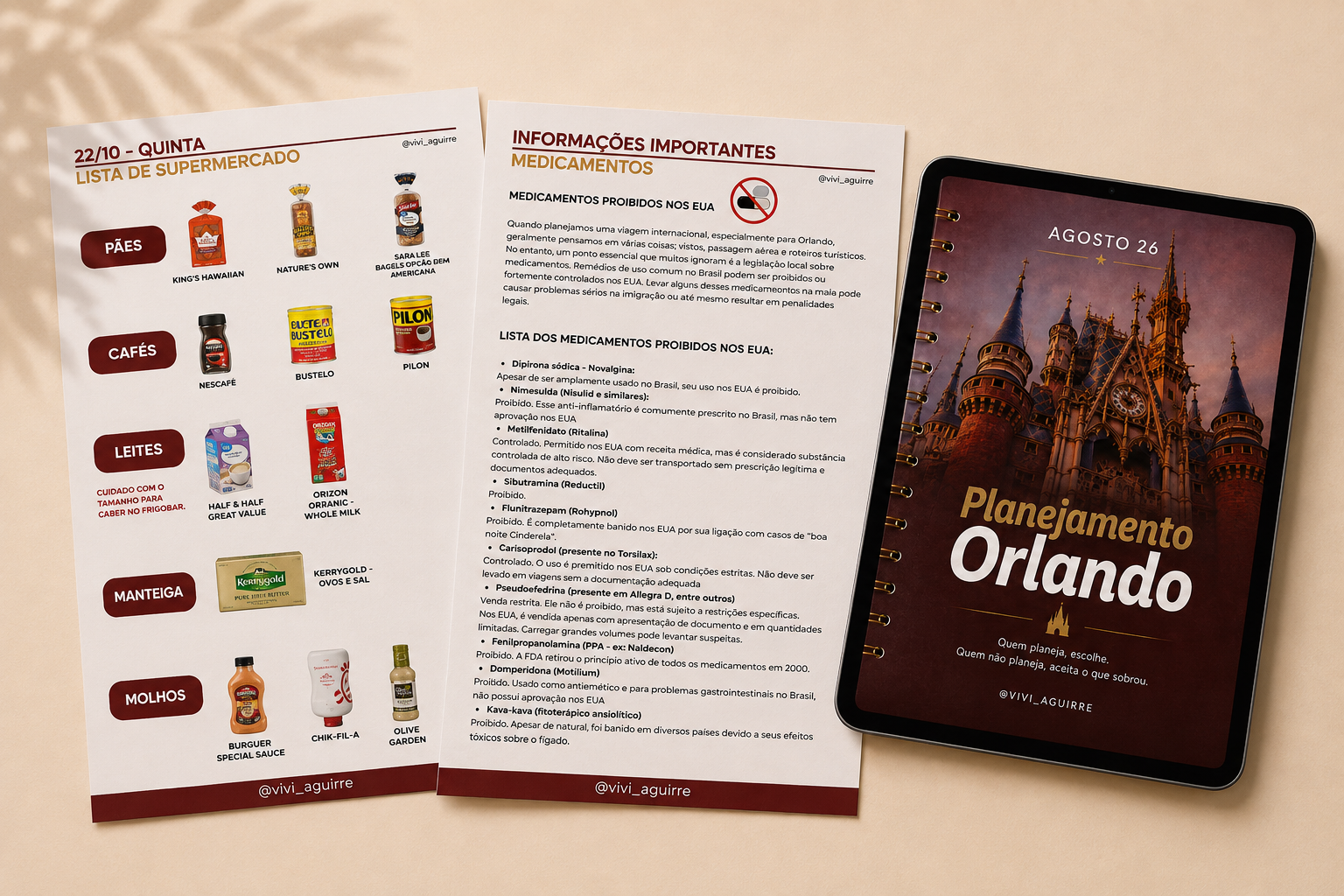 Kit de orientação estratégica da VivA Orlando com cards de chegada, aluguel de carro, bagagem e hotel sobre organizador de planejamento
